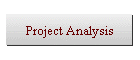 Project Analysis